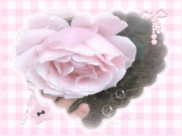 171dc12e63083a167eb36eff1b1370ca.gif