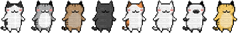 dancing cats