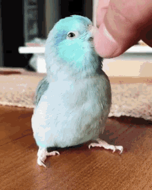 GIF