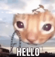 GIF